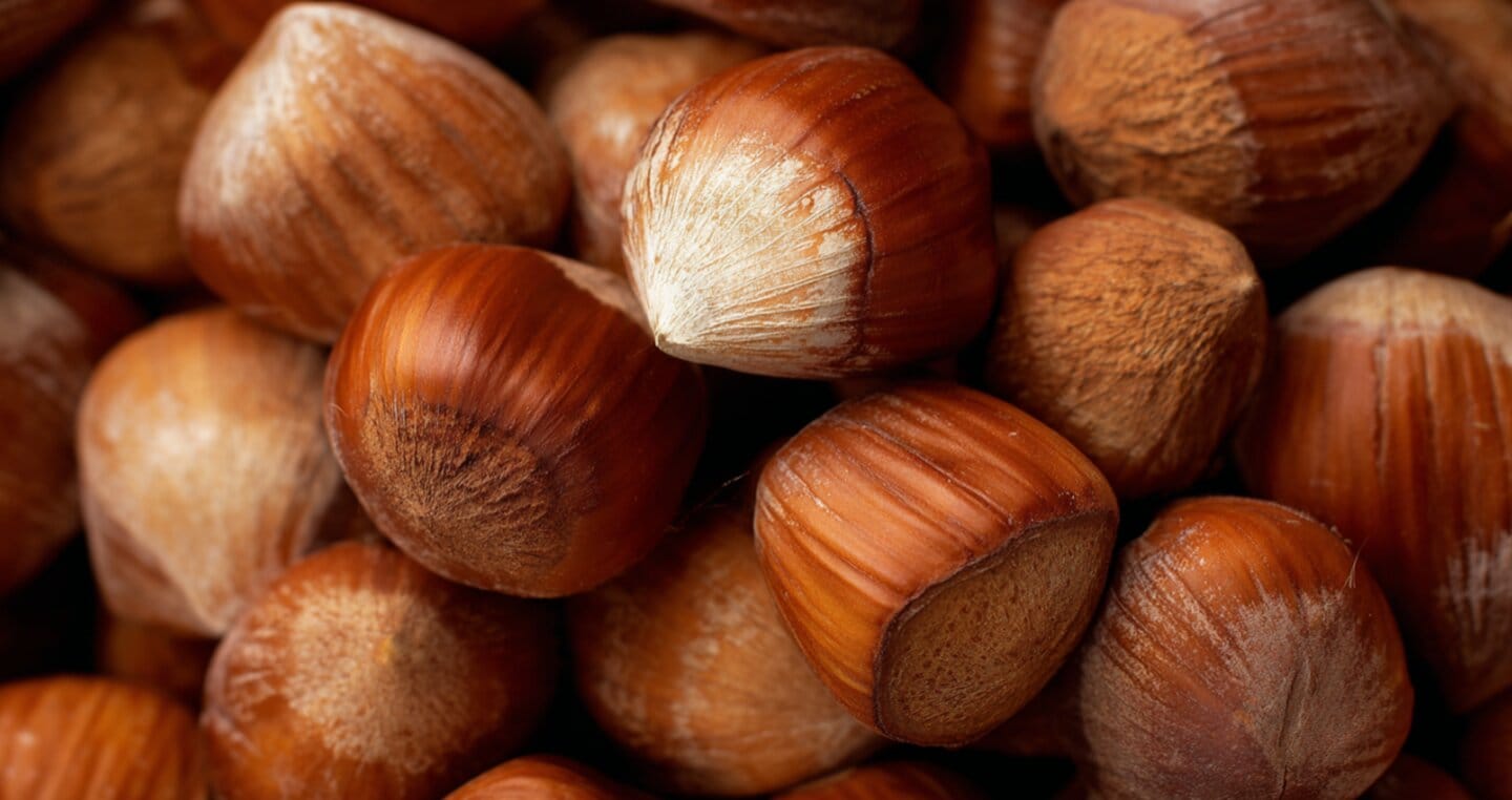 Zbliżenie na stos orzechów laskowych w brązowych skorupkach.