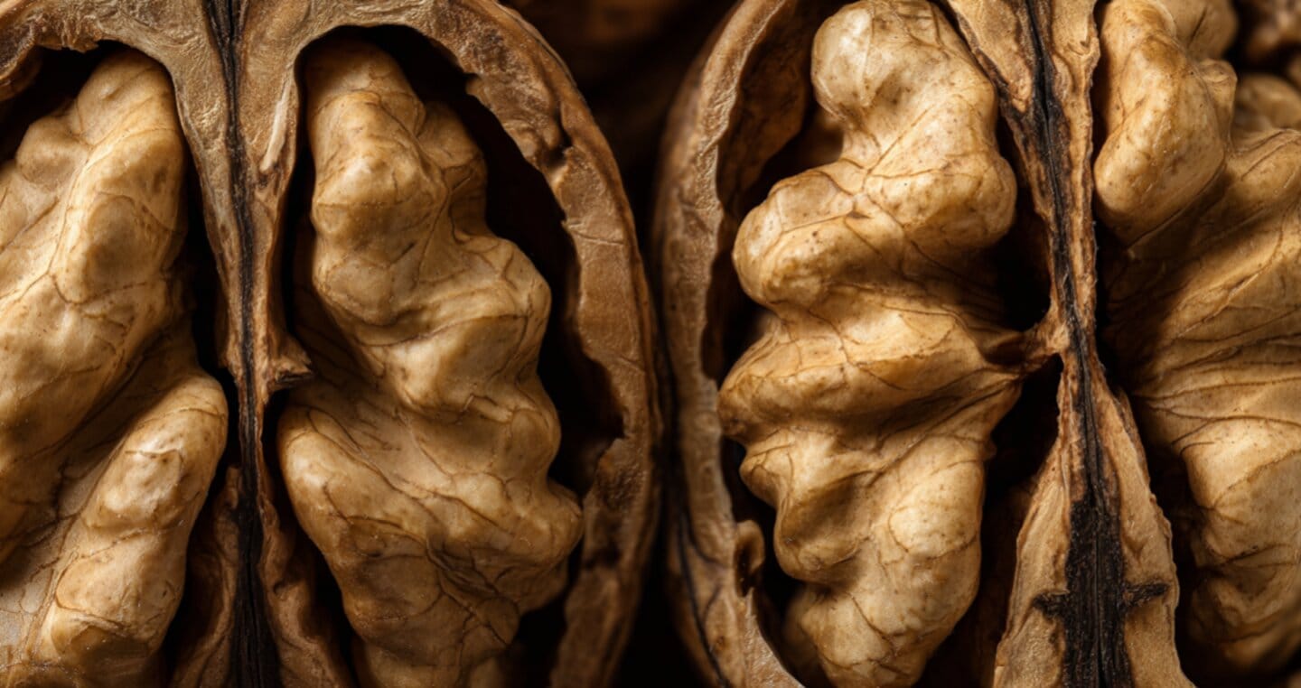 Zbliżenie na wnętrze orzecha włoskiego, widoczne szczegóły tekstury.